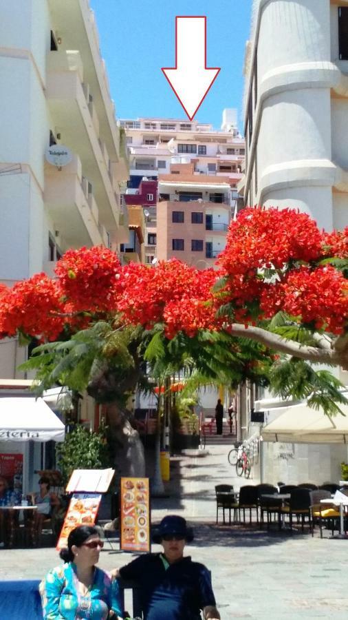 Ocean View Cactus I , Over Los Cristianos, Playa Las Vistas Los Cristianos  Exterior photo